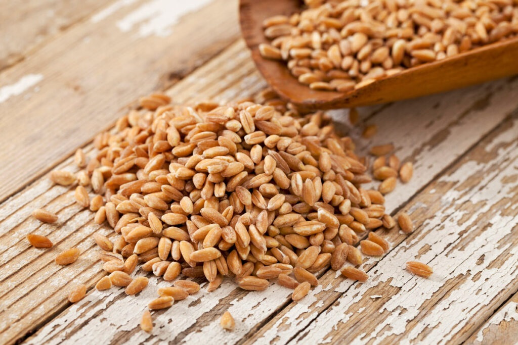 What Are the Advantages of Buying Wheat in Bulk? What Are the Advantages of Buying Wheat in Bulk?