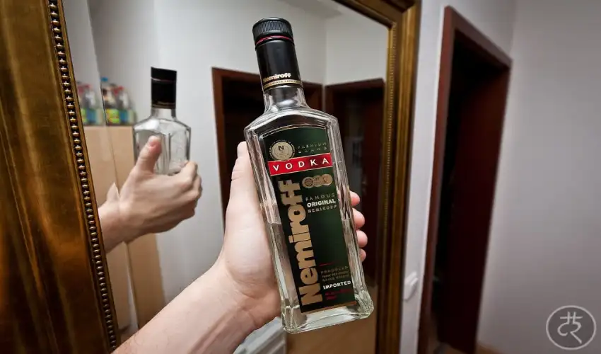 Nemiroff Vodka Best Pairings for Every Occasion
